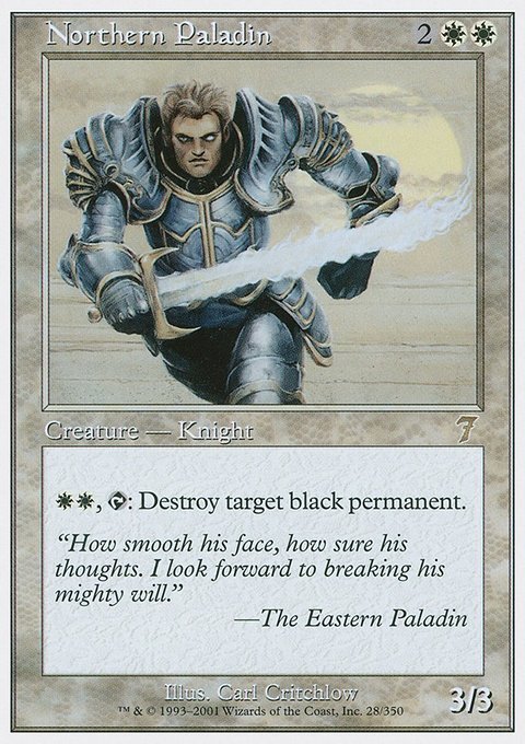 Northern Paladin